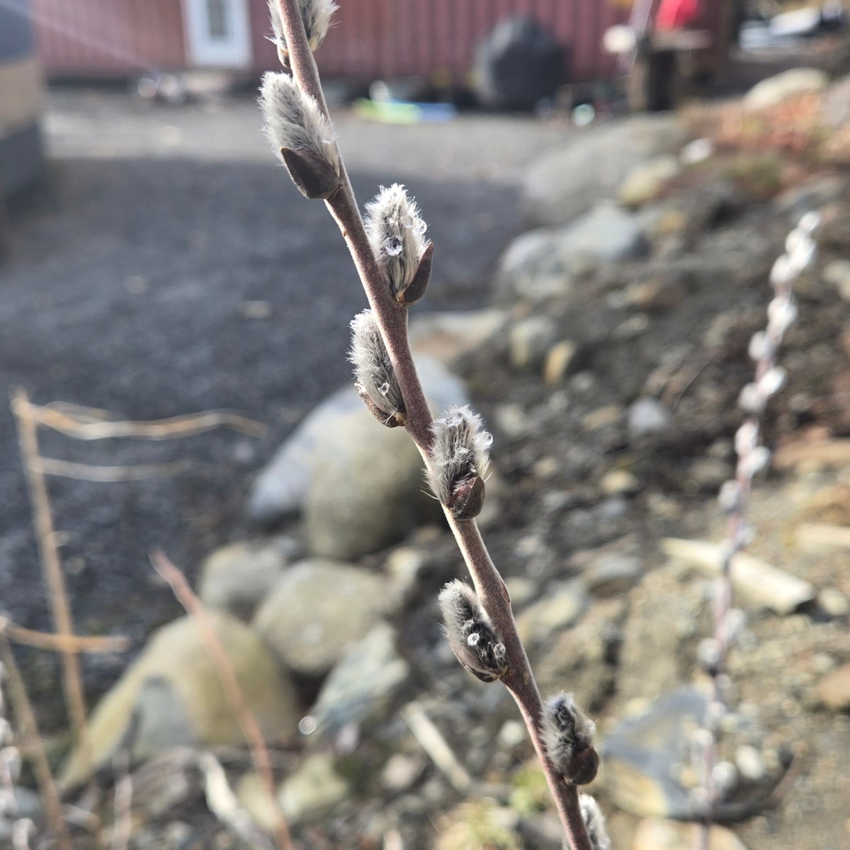  May Showers Bring June&nbsp;Flowers