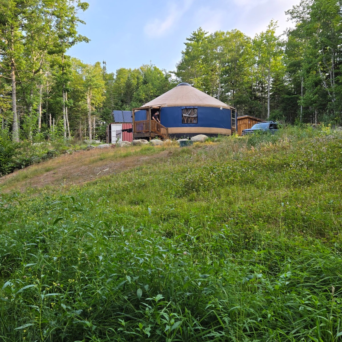 First Year in the Wildflower&nbsp;Field